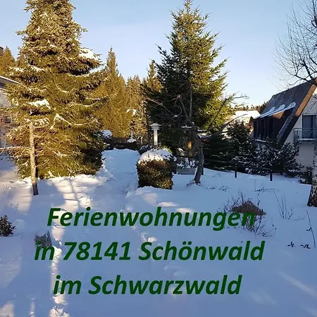 Schwarzwaldblick *