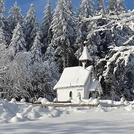 Schwarzwaldblick Apartamento Schönwalde