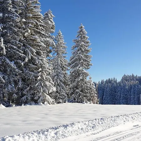 Apartamento Schwarzwaldblick *