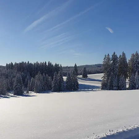 Apartamento Schwarzwaldblick *
