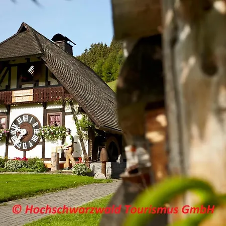 Schwarzwaldblick * Schoenwald im Schwarzwald
