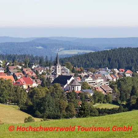 Schwarzwaldblick Apartment Schoenwald im Schwarzwald