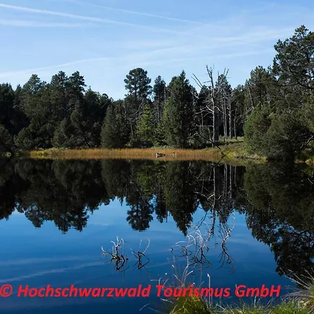 Schwarzwaldblick Apartamento