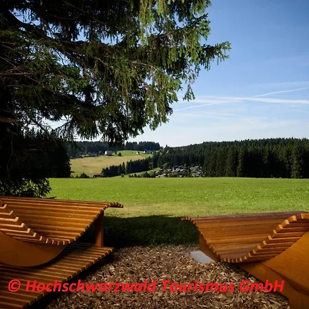 Apartment Schwarzwaldblick Schoenwald im Schwarzwald