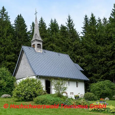 Apartamento Schwarzwaldblick *