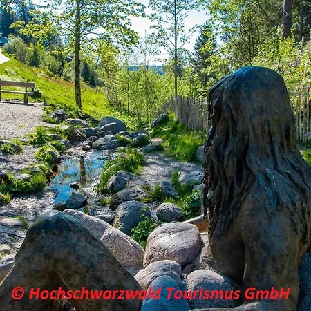 Schwarzwaldblick Apartamento