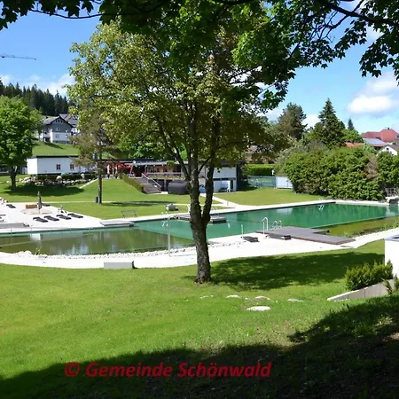Schwarzwaldblick Apartamento Schönwalde