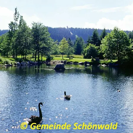 Schwarzwaldblick *