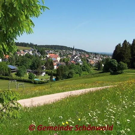 Schwarzwaldblick Apartamento Schönwalde