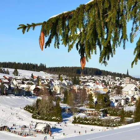 Schwarzwaldblick *