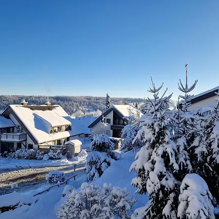 Apartment Schwarzwaldblick Schoenwald im Schwarzwald