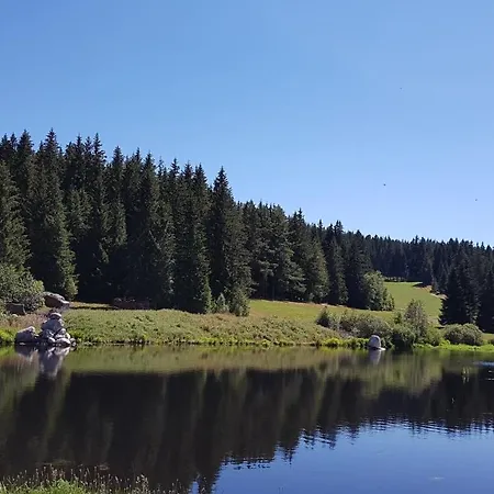 Apartamento Schwarzwaldblick *