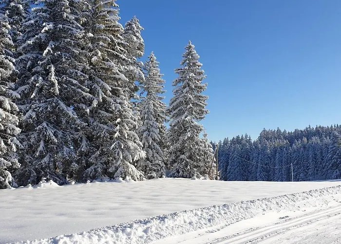 Apartament Schwarzwaldblick *