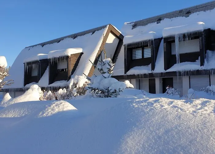 Schwarzwaldblick Apartament