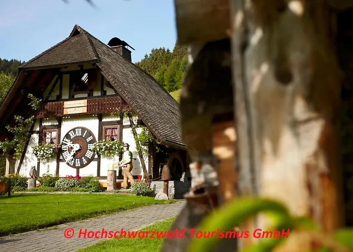 Schwarzwaldblick * Schönwalde