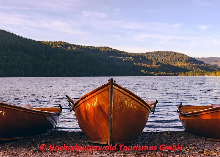 Schwarzwaldblick Schönwalde