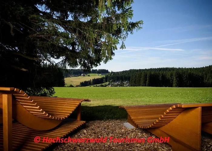 Apartament Schwarzwaldblick Schönwalde