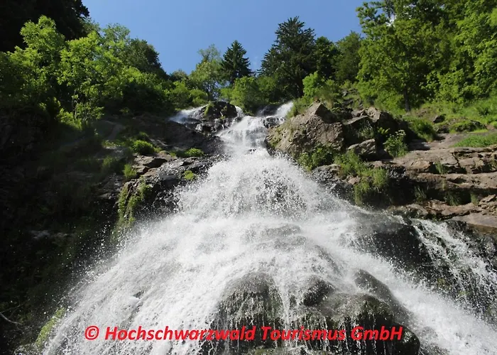 Schwarzwaldblick Schönwalde