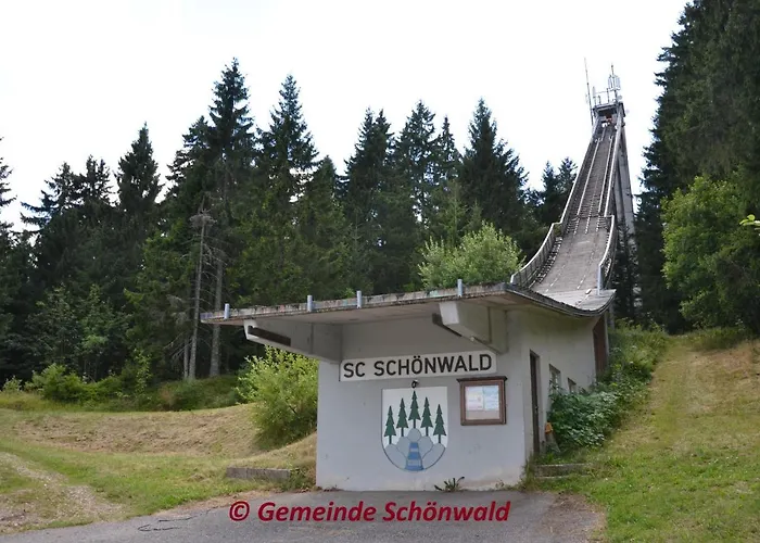 Schwarzwaldblick * Schönwalde