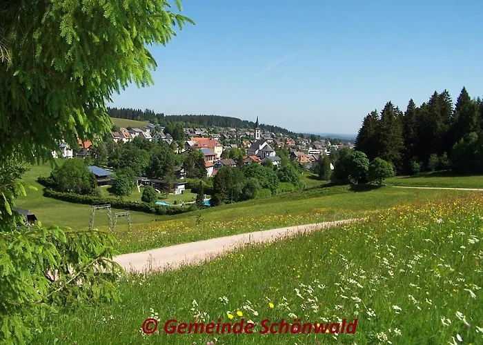Schwarzwaldblick Apartament Schönwalde
