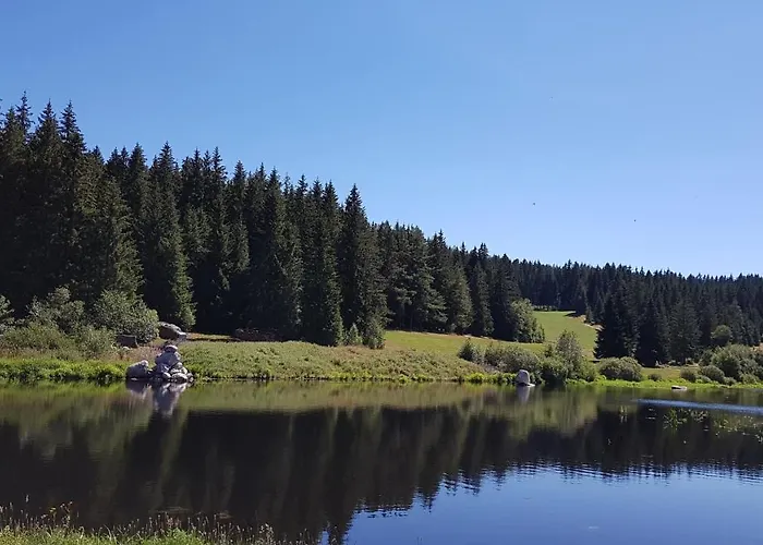 Apartament Schwarzwaldblick *